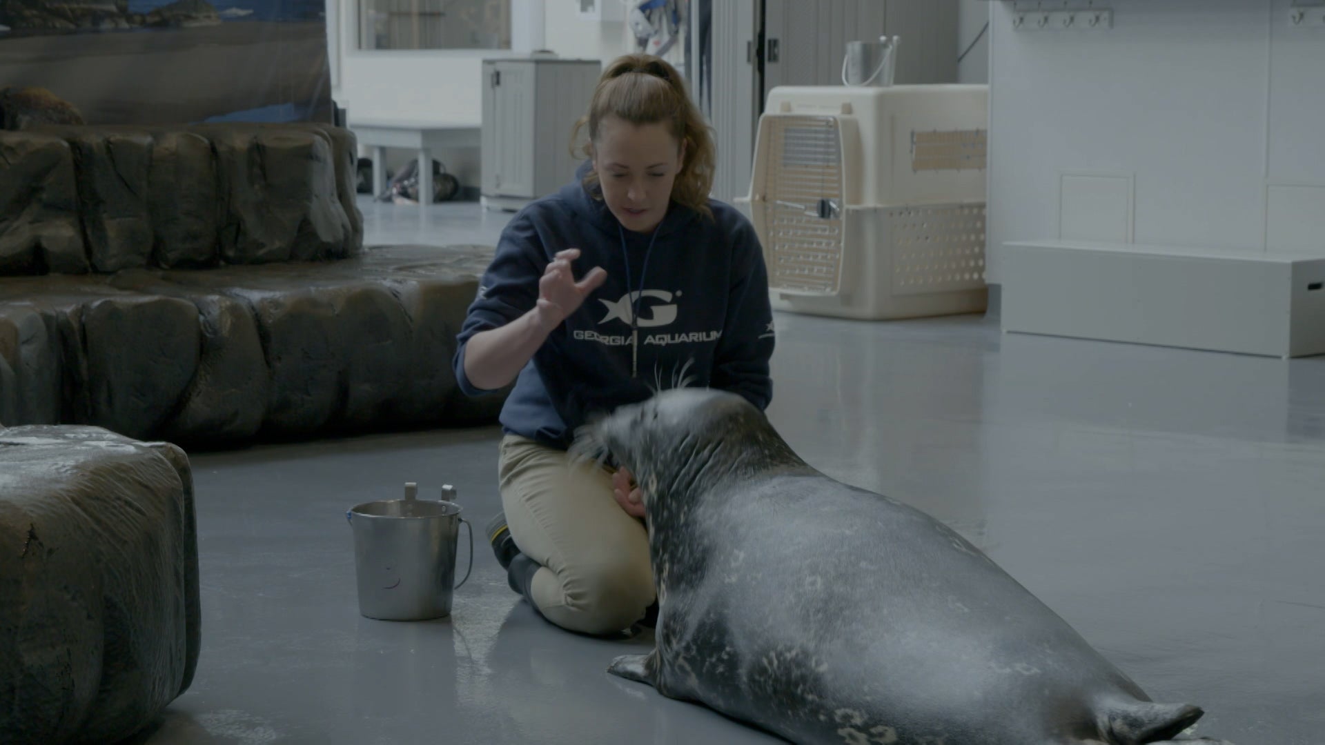 The Aquarium Season 2 Episode 9 Expedition Whale Shark