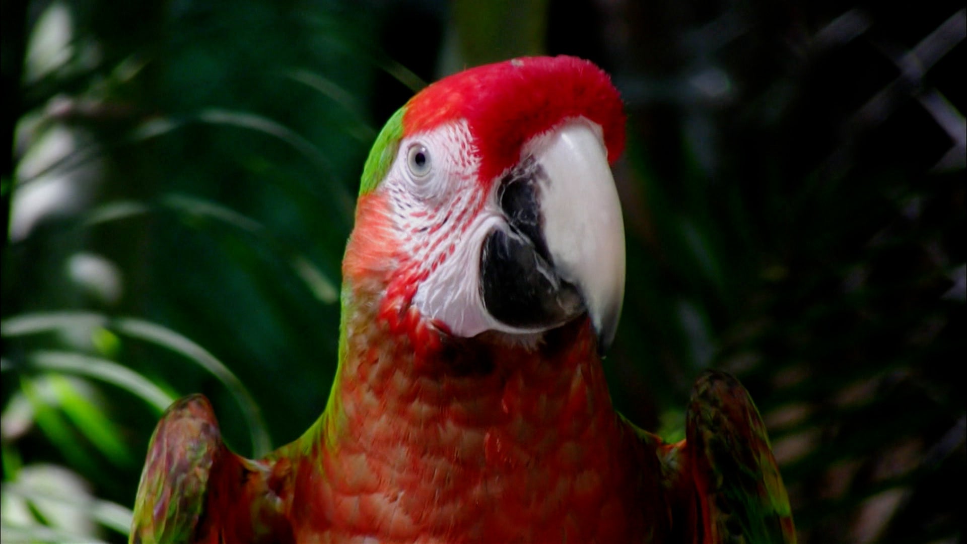 Life After People Season 1 Episode 1 The Bodies Left Behind