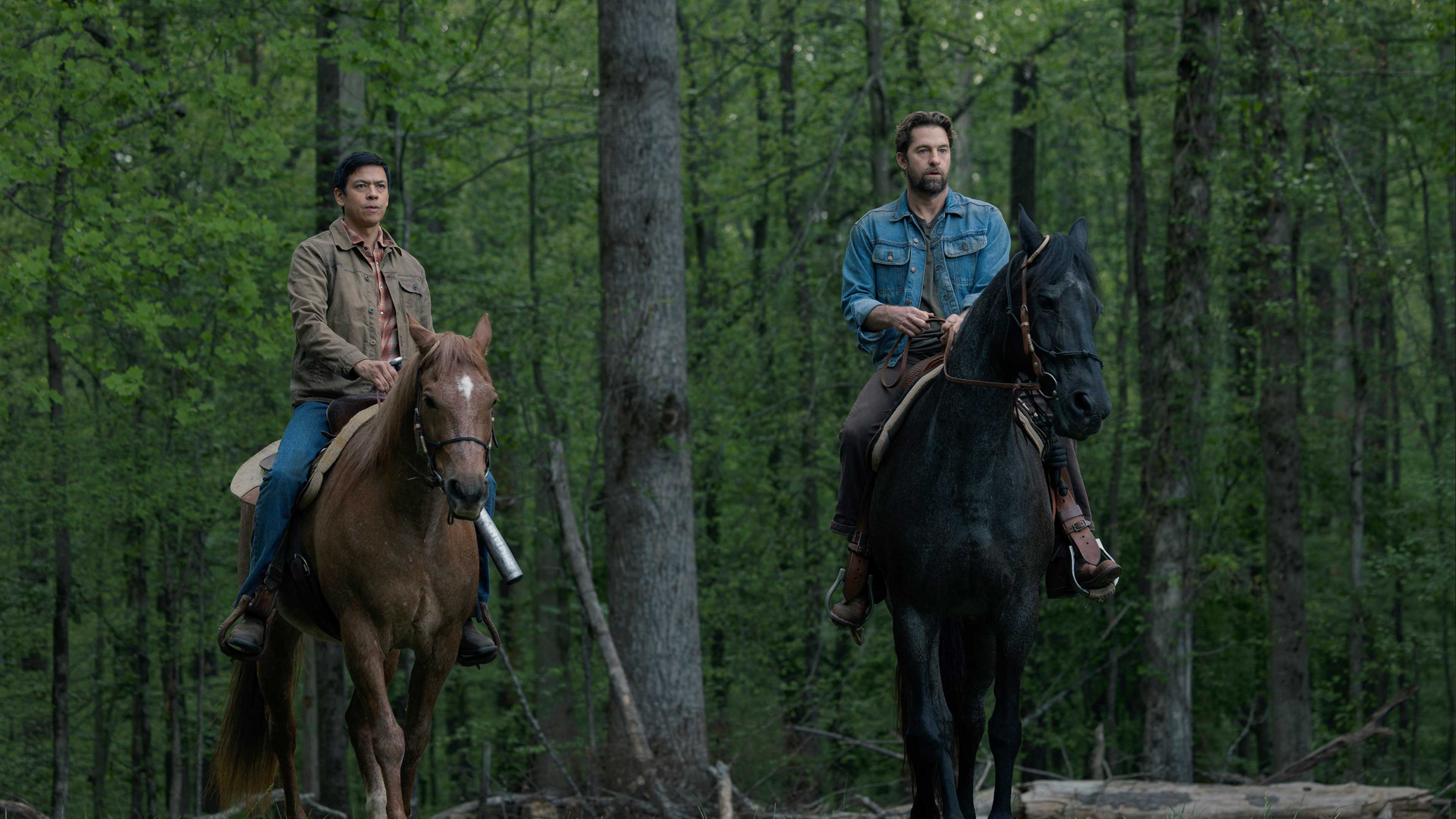 Teacup Season 1 Episode 3 Quite For No Reason