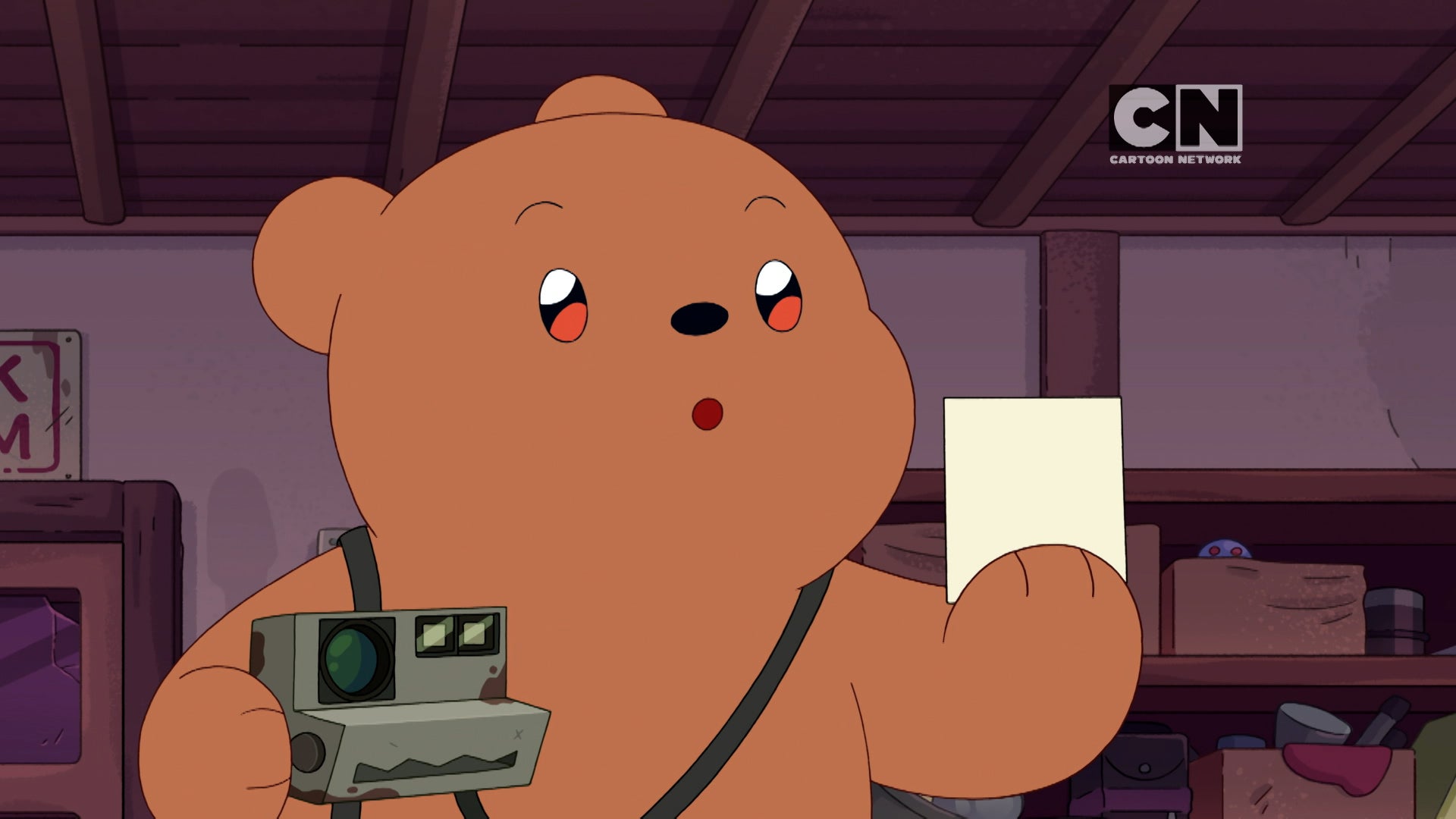 We Baby Bears Season 2 Episode 20 Intermediate Photography