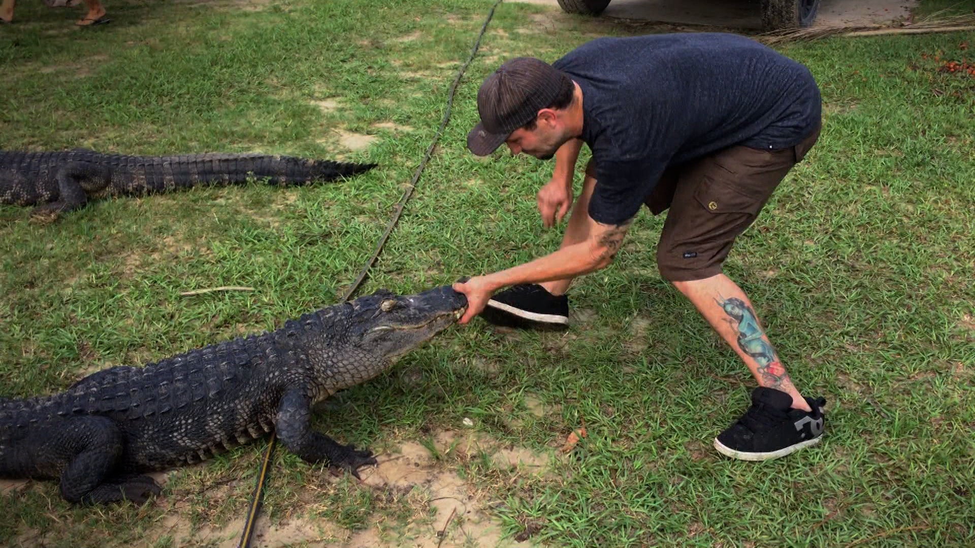 لوست مونستر فايلز الموسم 1 الحلقة 6 تنين الكهف - أركنساس