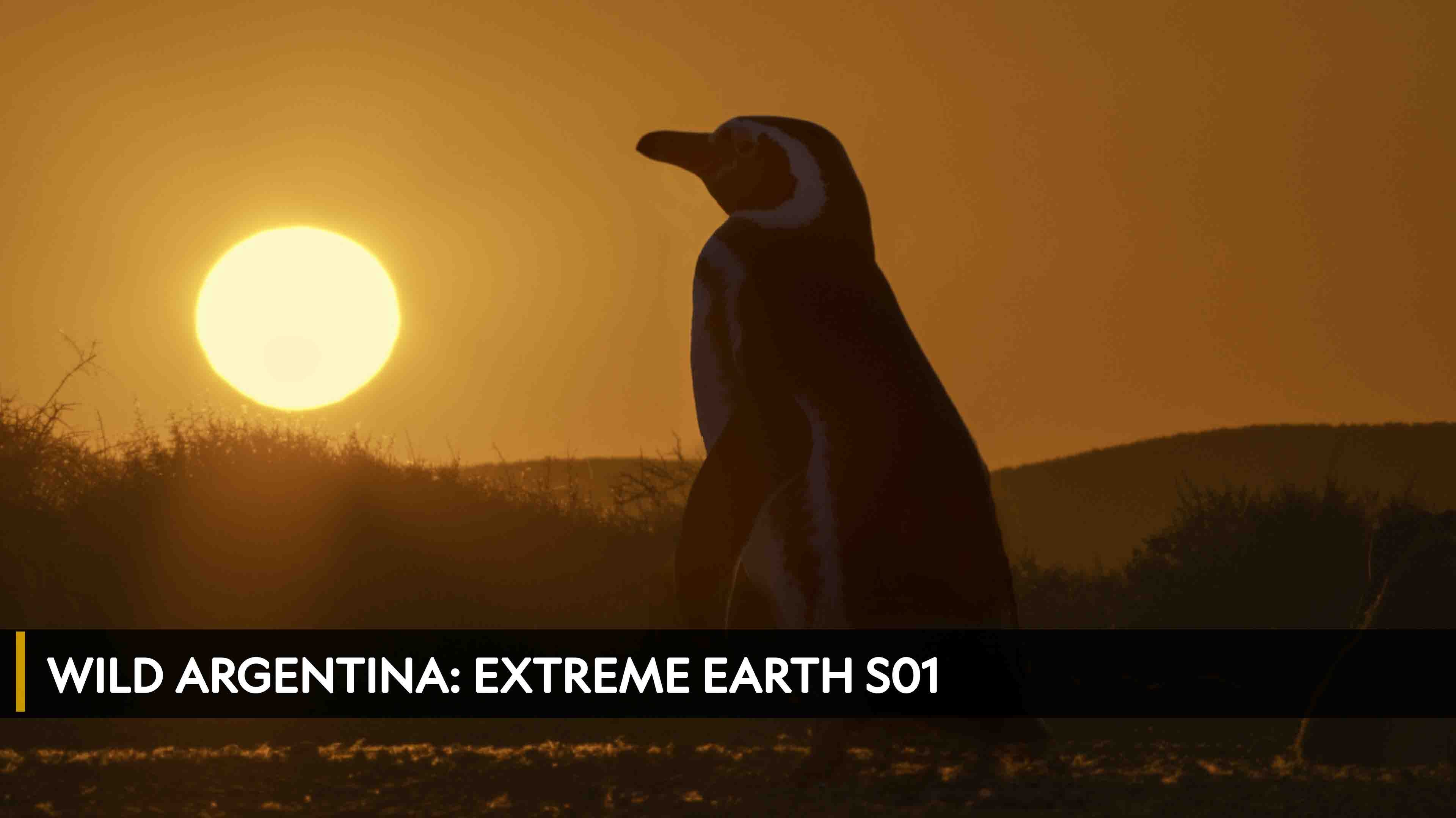 Wild Argentina: Extreme Earth Season 1 Episode 1 Dangerous Waters
