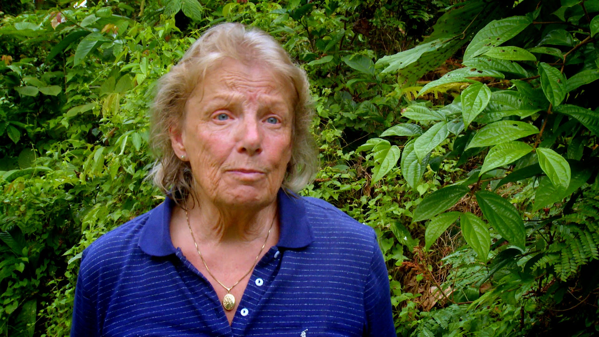 Meet The Orangutans Season 1 Episode 4 Baby on the Way