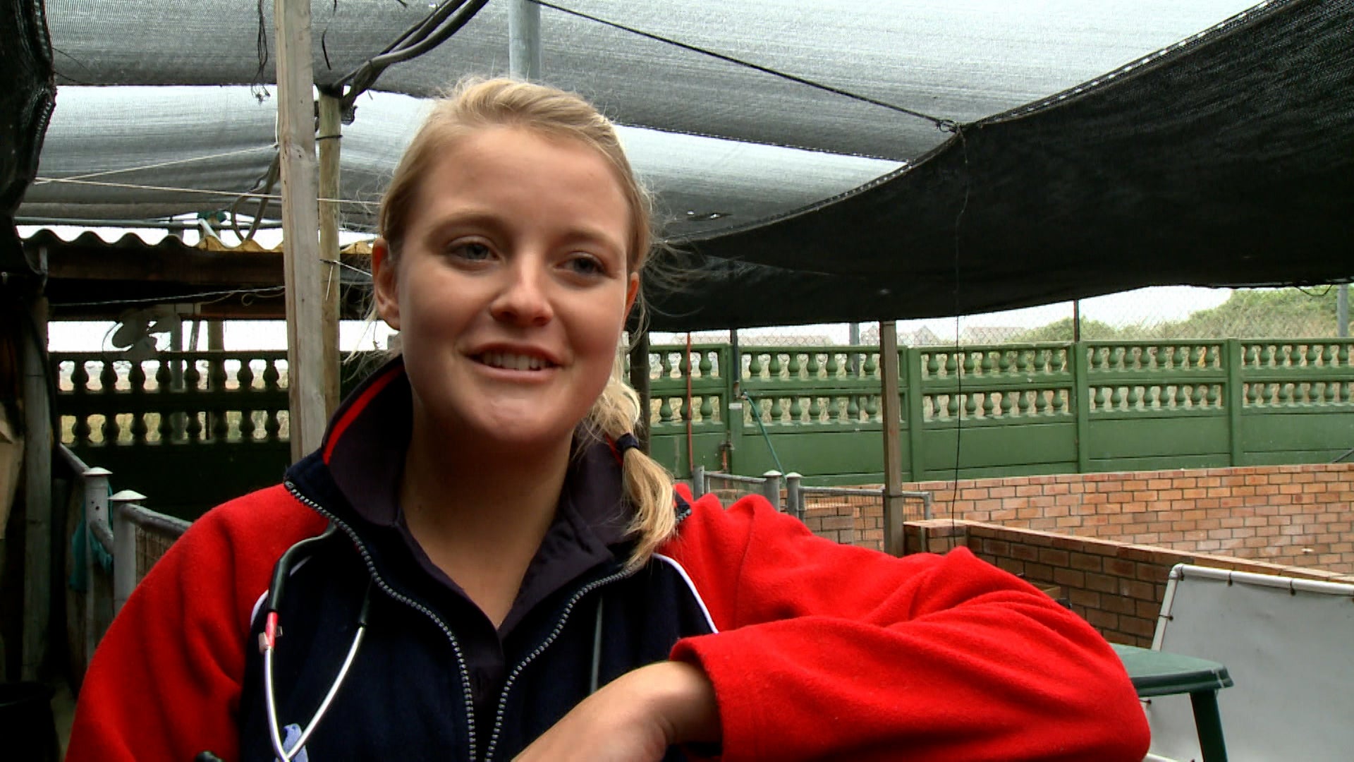 Meet The Penguins Season 1 Episode 2 A Royal Penguin