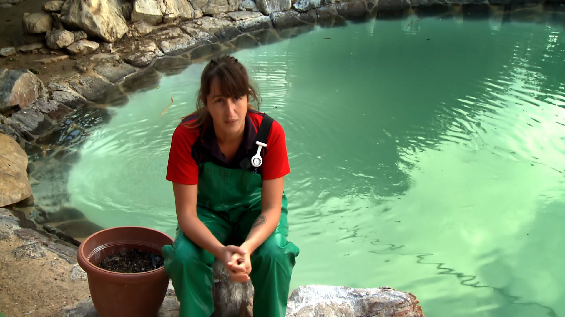 Meet The Penguins Season 1 Episode 3 Mama's Boy