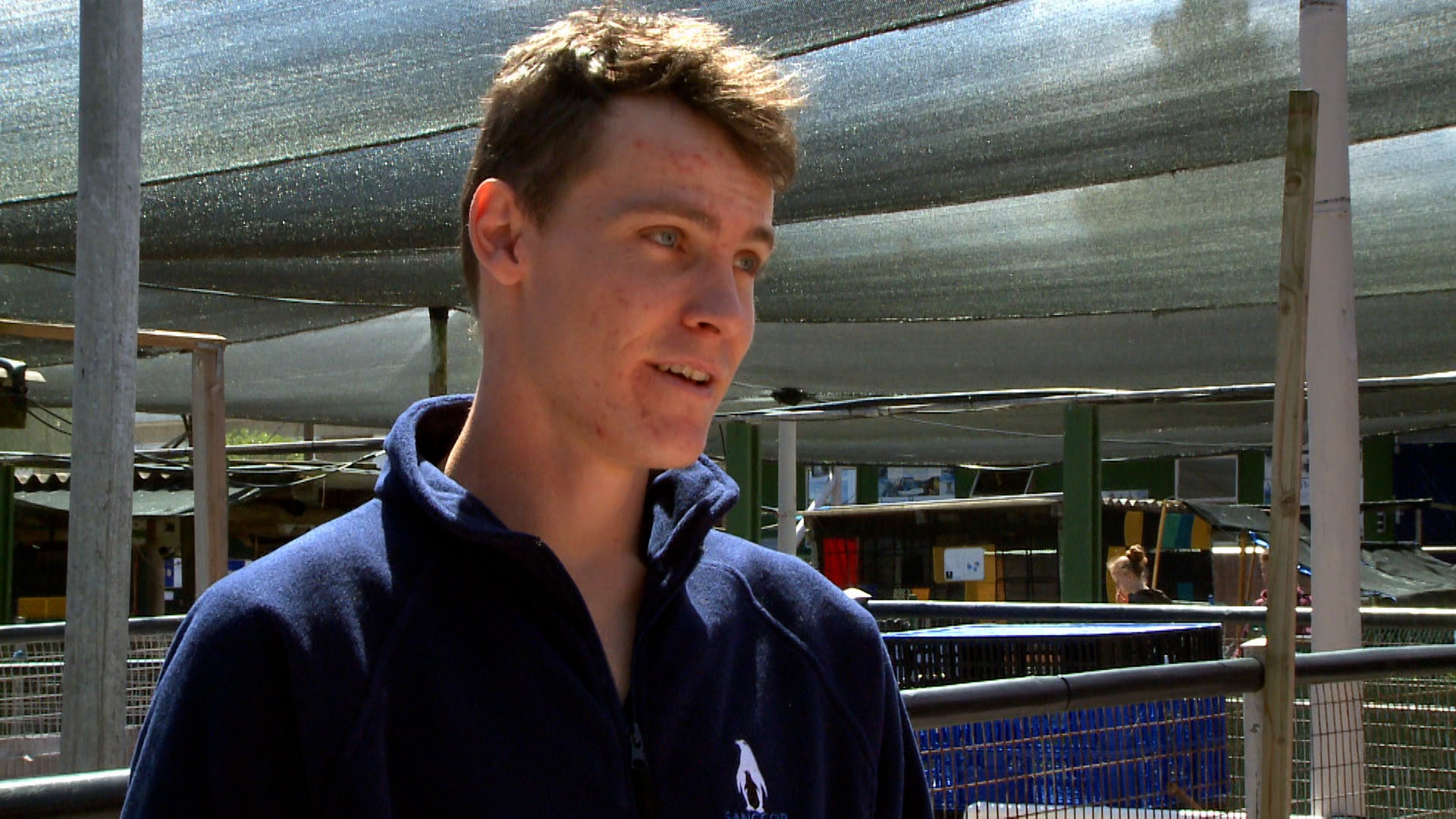 ميت ذا بينغوينز الموسم 1 الحلقة 7 أصغر بطريق