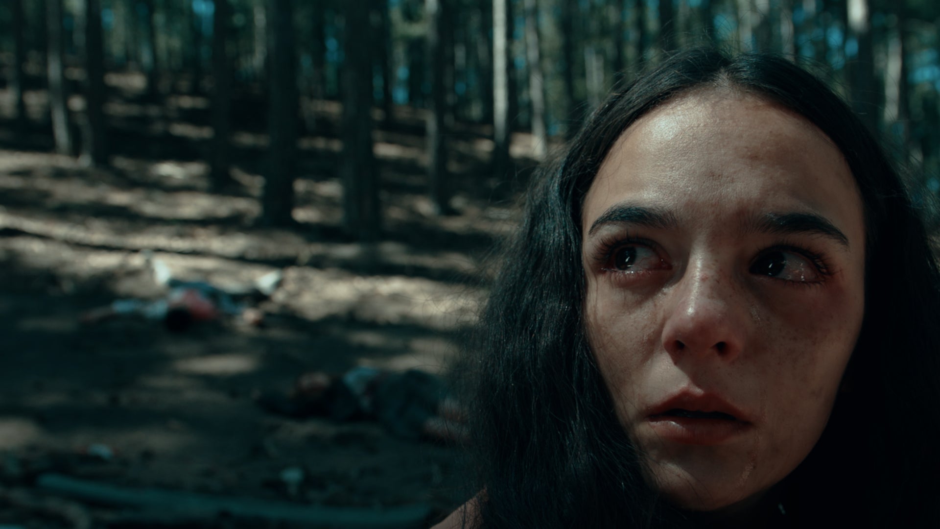 مدرسة الحرية الموسم 1 الحلقة 6 الحلقة 6