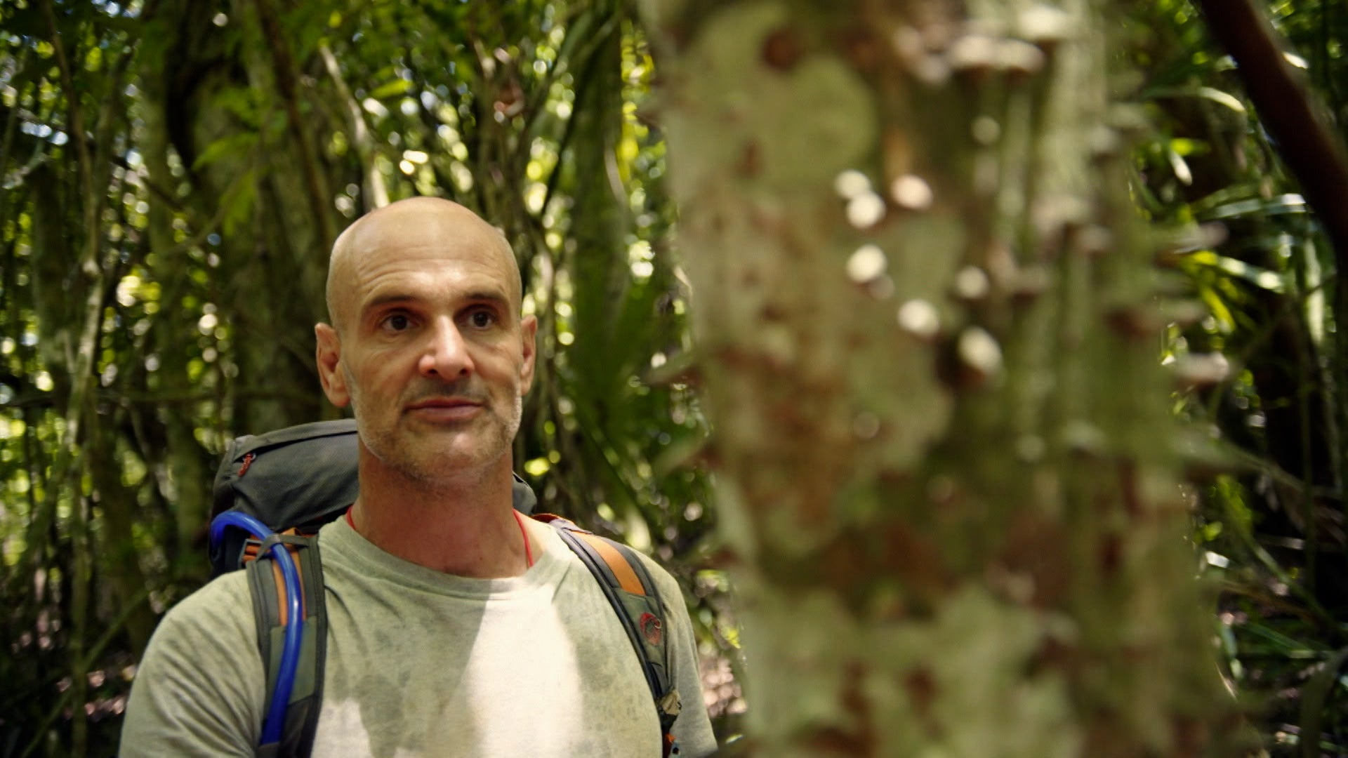 Into the Jungle with Ed Stafford Season 1 Episode 4 Episode 4