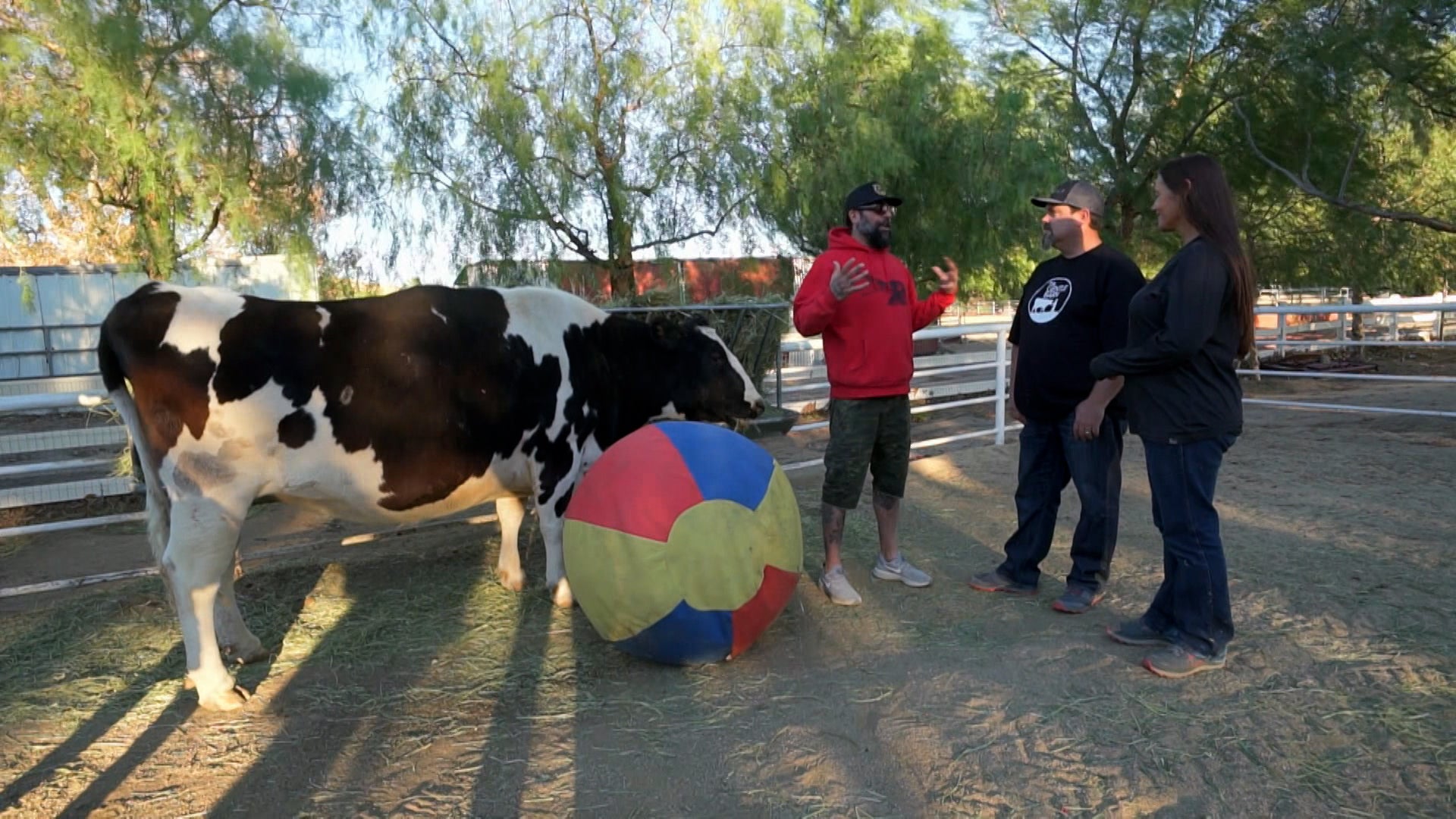 Animal Cribs Season 2 Episode 10 Rescue Ranch Remodel