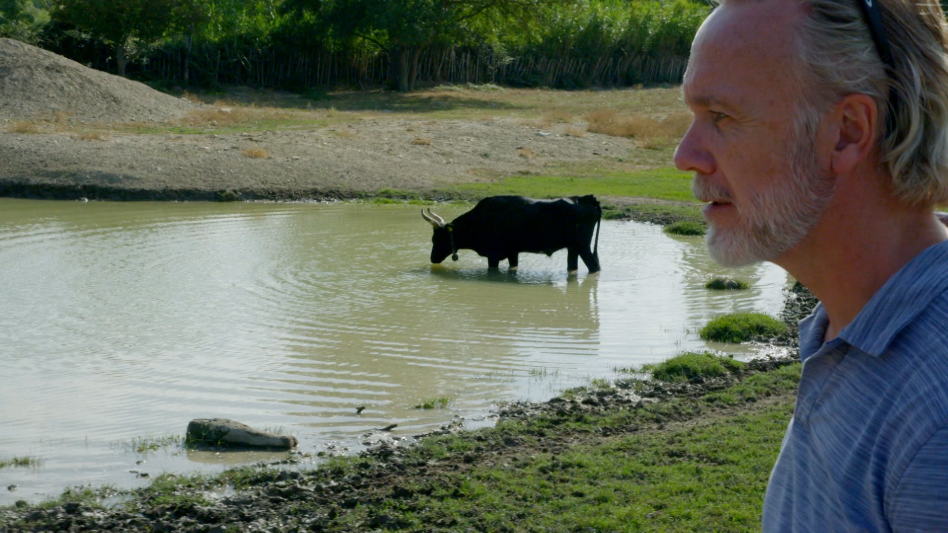 Marcus Wareing Simply Provence Season 1 Episode 11 Beef