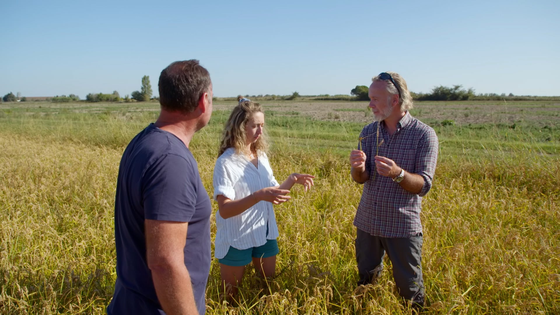 Marcus Wareing Simply Provence Season 1 Episode 14 Rice