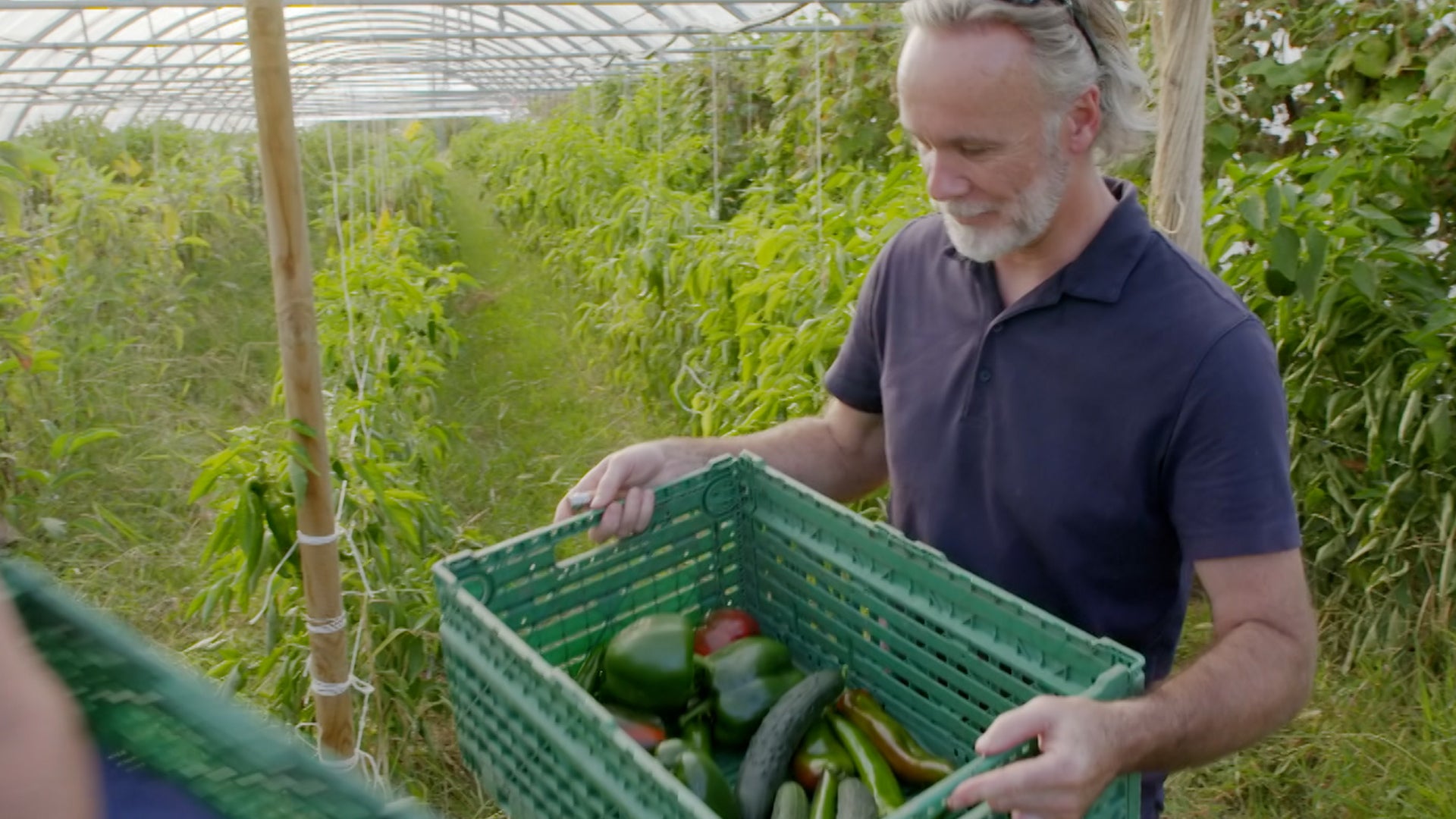 Marcus Wareing Simply Provence Season 1 Episode 15 Vegetables