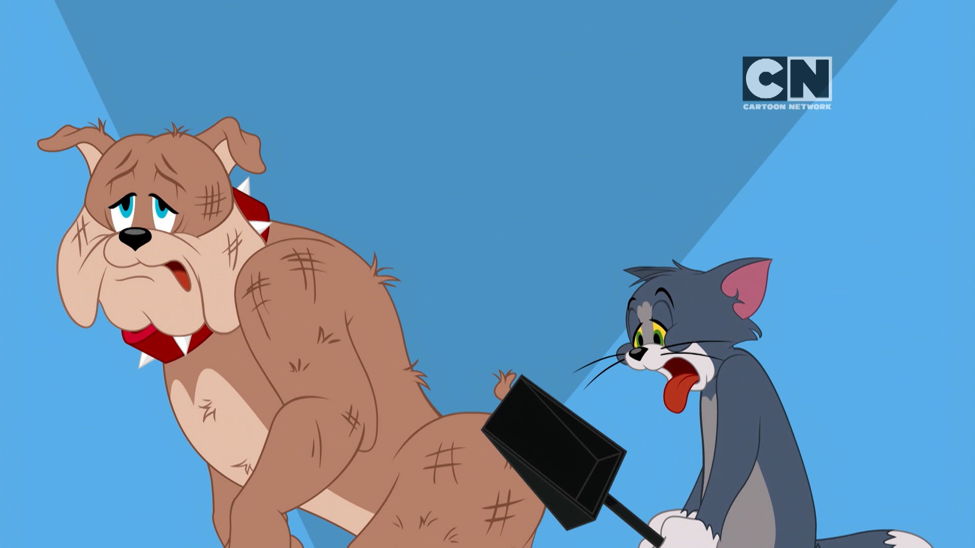 The Tom and Jerry Show Season 2 Episode 76 Flea Bitten