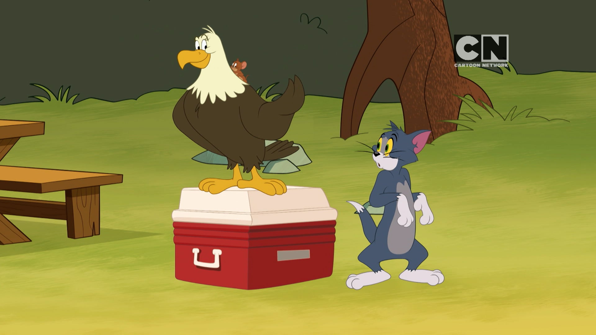 The Tom and Jerry Show Season 3 Episode 162 Eagle Eye Jerry