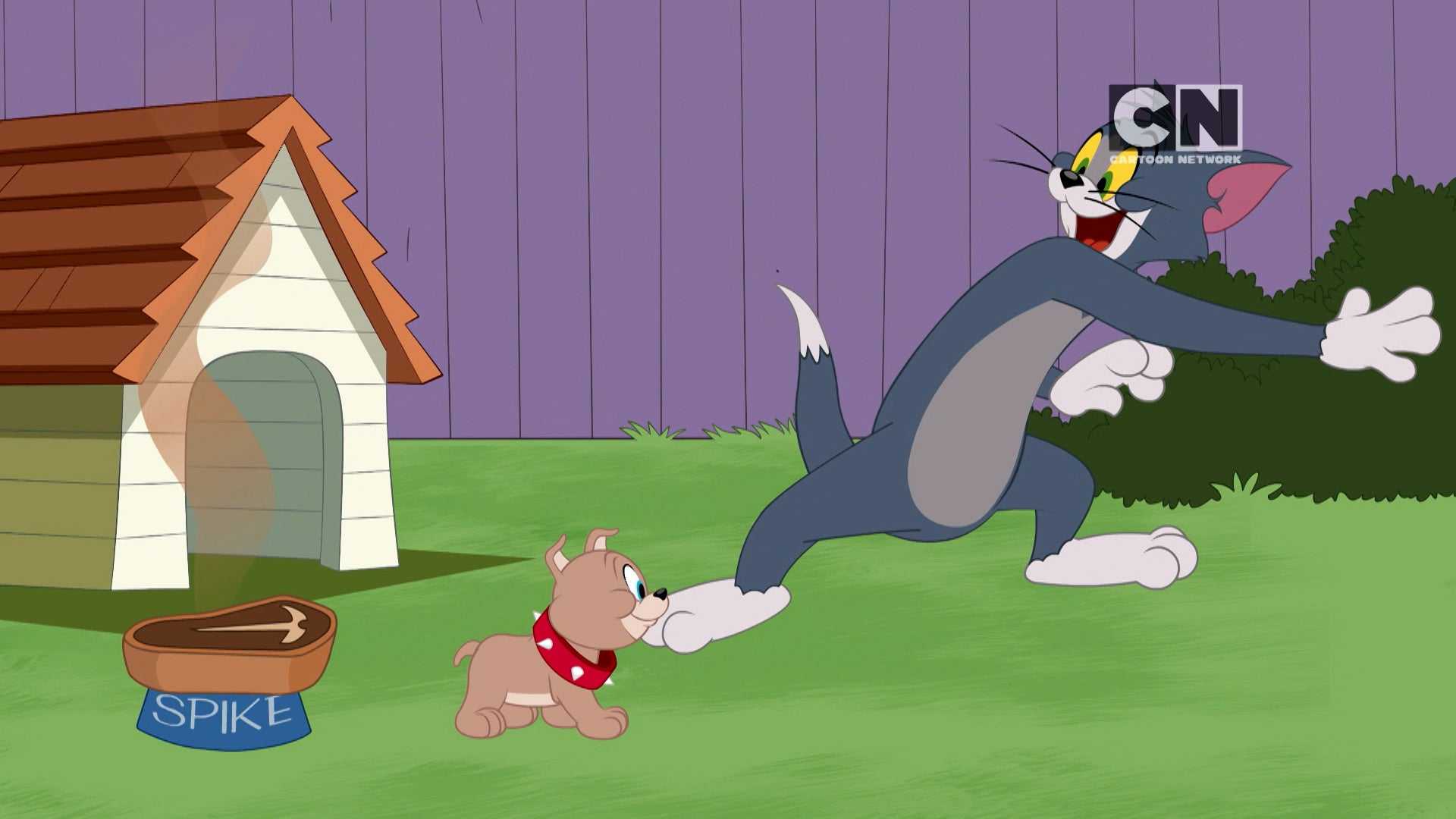 The Tom and Jerry Show Season 3 Episode 167 Not My Tyke