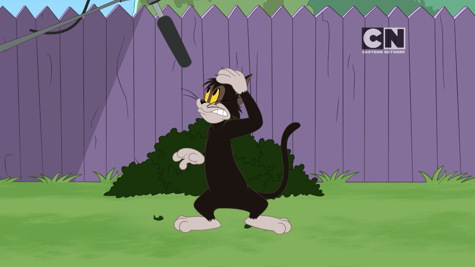 The Tom and Jerry Show Season 3 Episode 184 A Star Forlorn