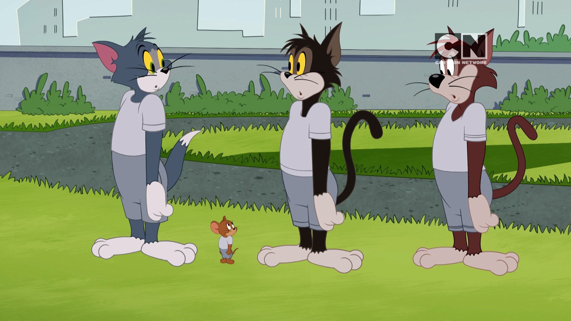 The Tom and Jerry Show Season 4 Episode 216 A Class of Their Own