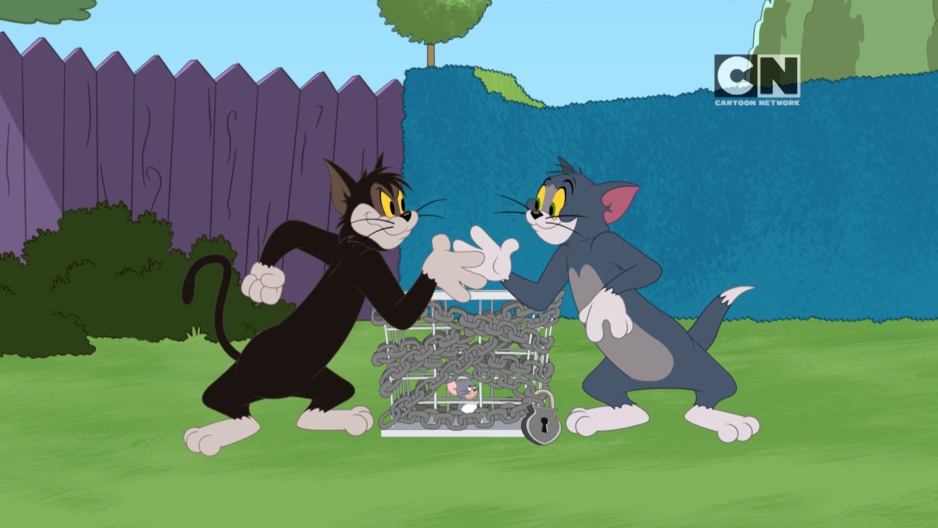 The Tom and Jerry Show Season 4 Episode 268 The Ol' Switcheroo