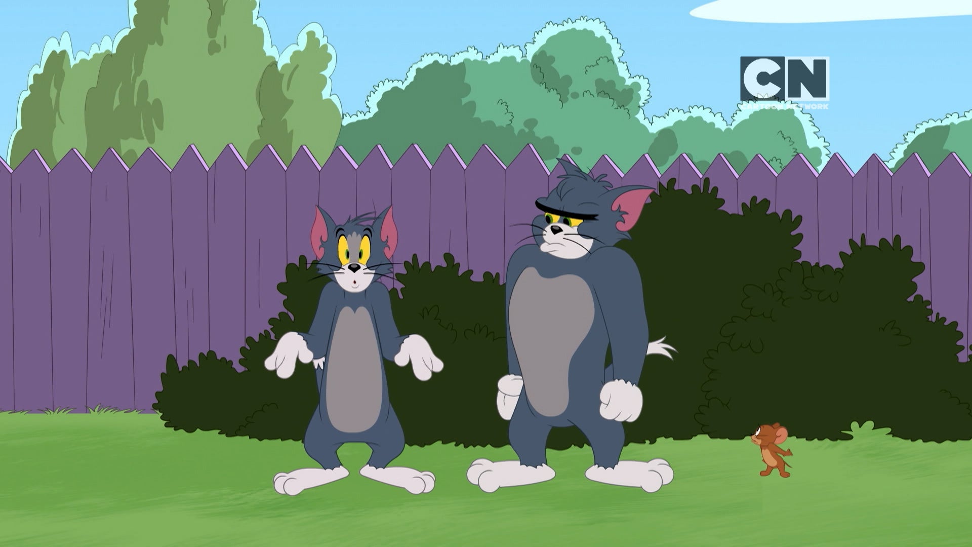 The Tom and Jerry Show Season 5 Episode 291 Cave Cat