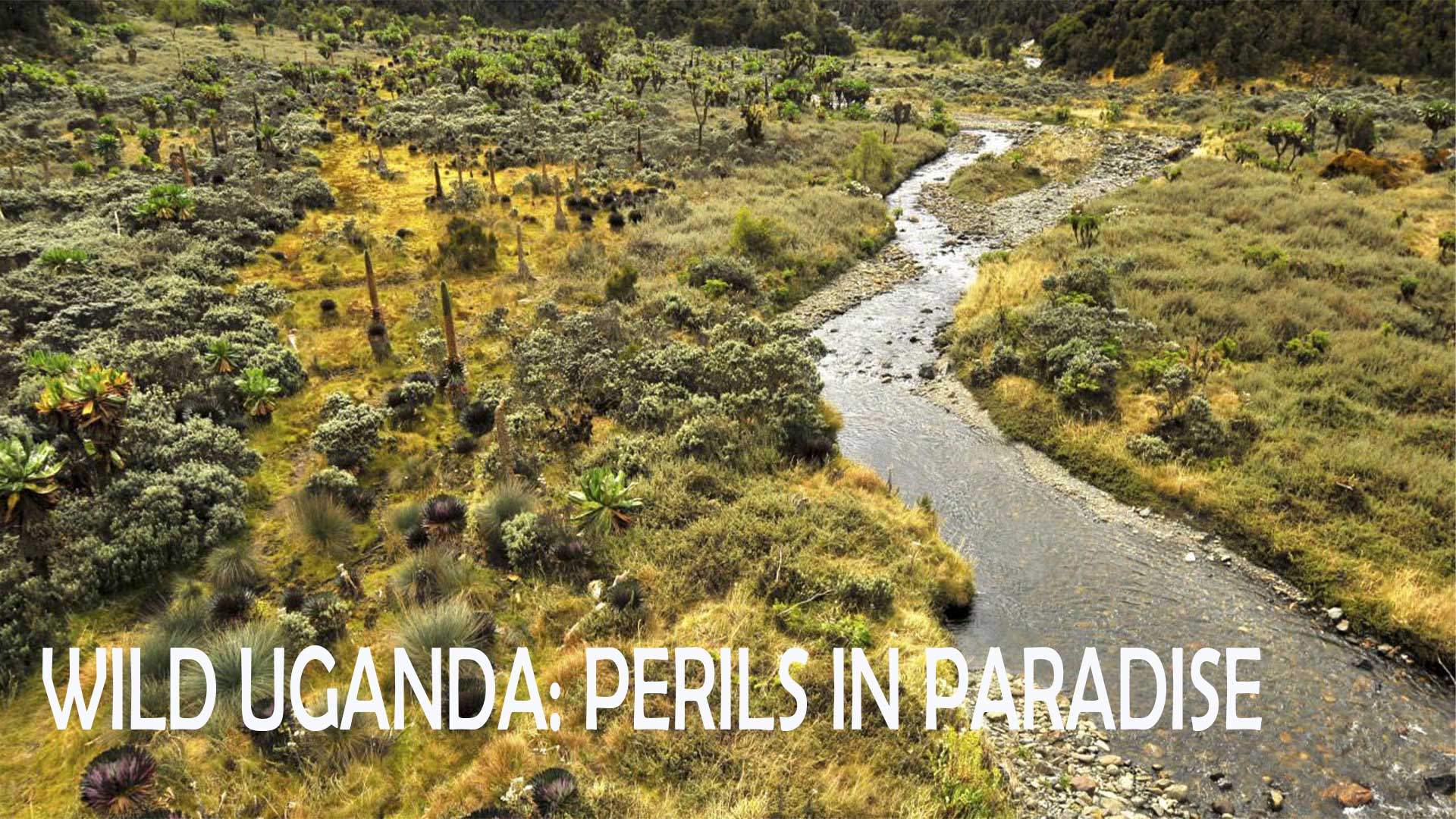 Legendary Catch الموسم 1 الحلقة 1 Fishing For Dinosaurs