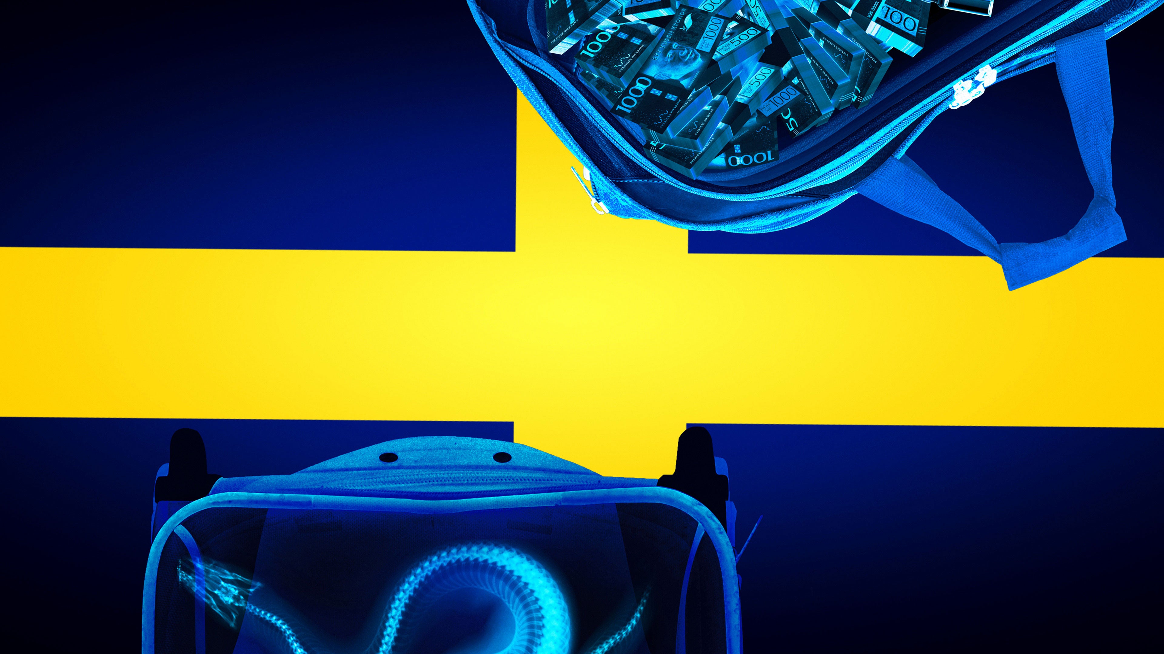 بوردر كنترول: سويدن