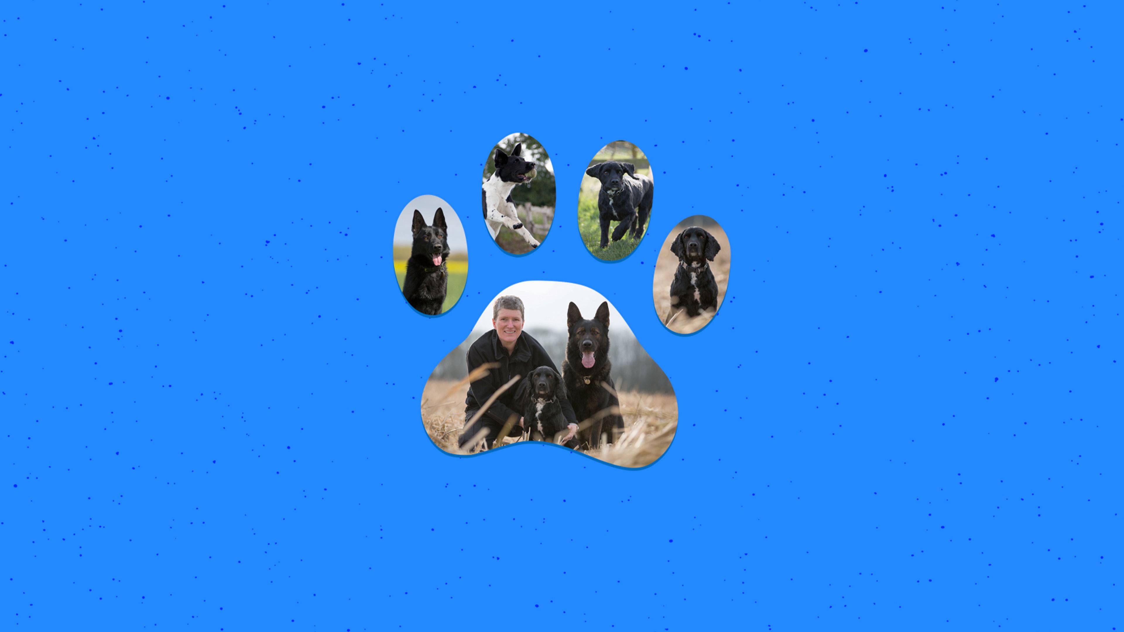 Dog Detectives Season 1 Episode 2 Learning Curve