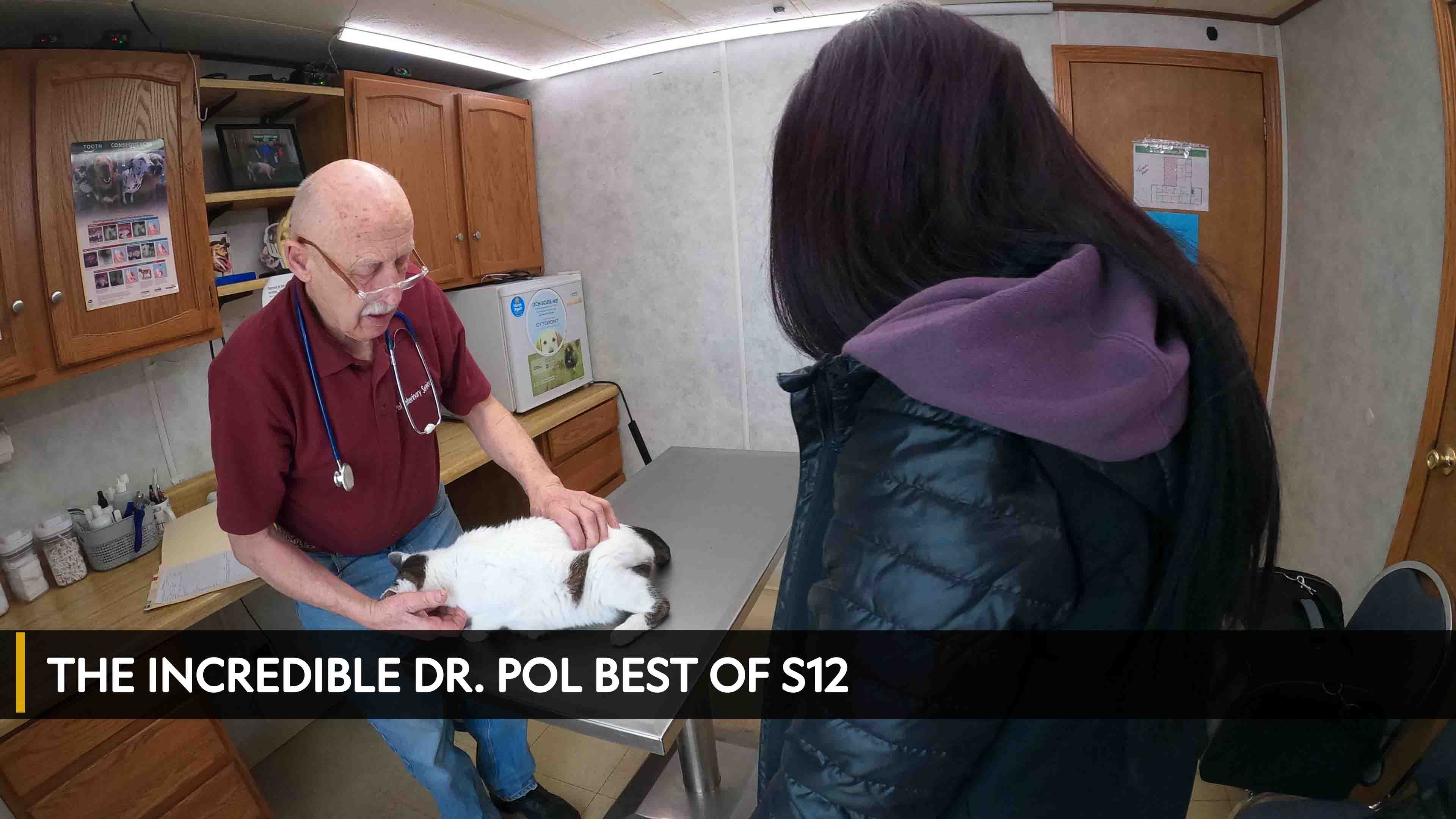 The Incredible Dr. Pol Best Of Season 12 Episode 1 Pup, Pup, And Away!